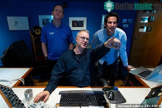 Giáo sư Steve Simpson (trái), kỹ sư âm thanh Andrew Walker (giữa) và quản lý tại Thủy cung London James Wright (phải) hợp tác sản xuất bản nhạc Giáng sinh từ tiếng cá. (Ảnh: Dailymail).