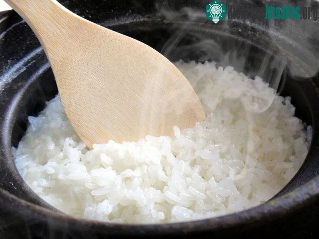 Carbonhydrat không phải là duy nhất về khả năng gây tăng cân.