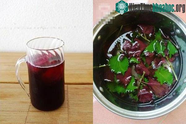 Uống nước lá tía tô quá nhiều có thể khiến bạn bị tăng huyết áp.