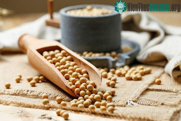 Tác dụng của đậu nành còn tùy thuộc lượng đậu nành bạn dùng cũng như loại đậu nành được tiêu thụ.