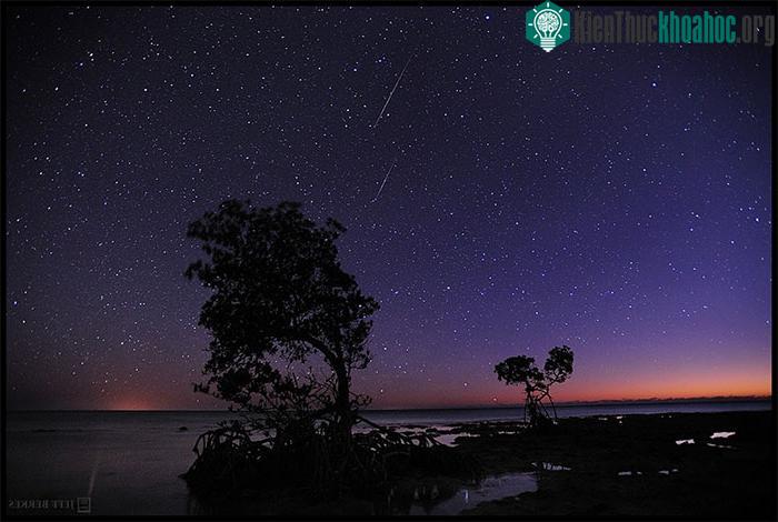 Mưa sao băng Quadrantid ở Florida Keys, Mỹ.