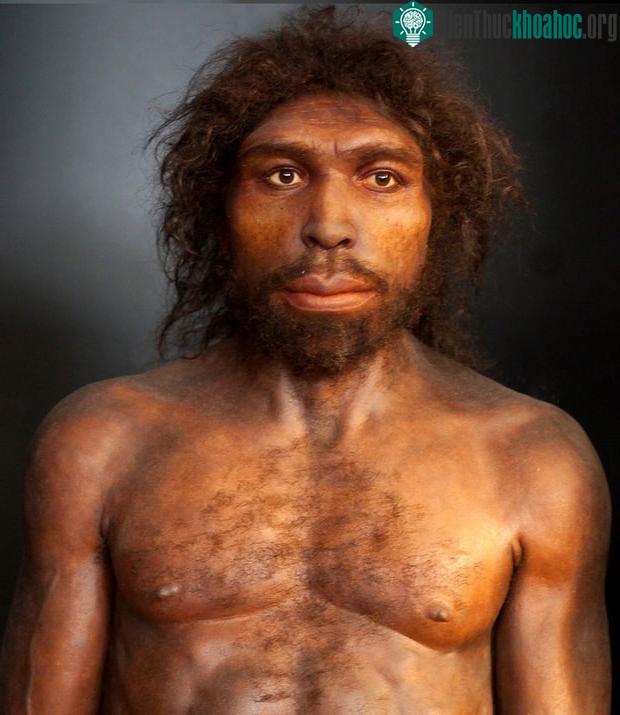 Homo rhodesiensis