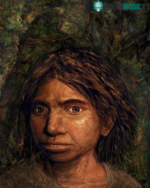 Người Denisovan