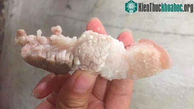 Loại thịt này có cho tiền cũng đừng ăn bởi nó có thể phá hủy dạ dày, gây ung thư ảnh 2