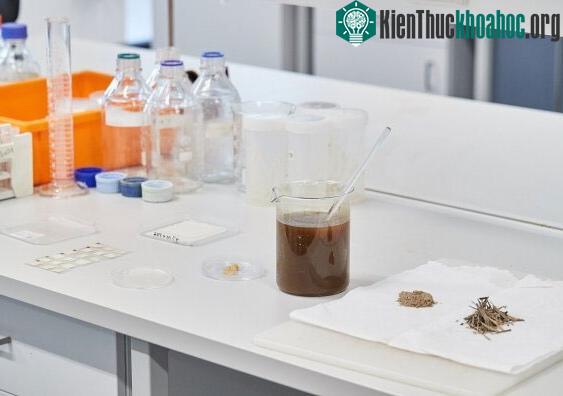 Thân chuối được sấy khô, nghiền thành bột, sau đó được đặt trong dung dịch kiềm để chiết xuất cellulose