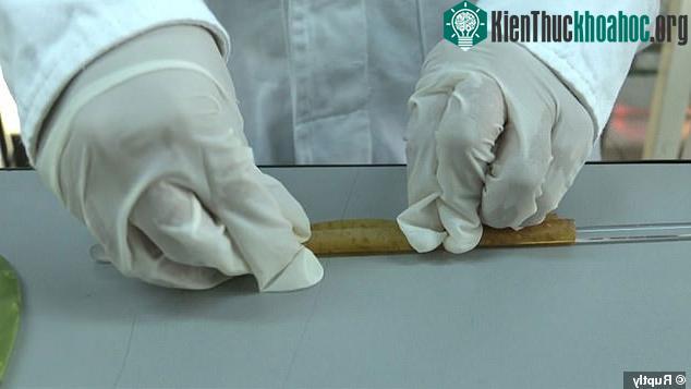 Hỗn hợp sau khi xay mịn, được làm mỏng, sấy khô và cuốn thành hình ống