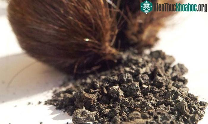 Sự thật bí thuật làm đẹp gây vô sinh biến kỹ nữ thành hoàng hậu lẳng lơ bậc nhất ảnh 2