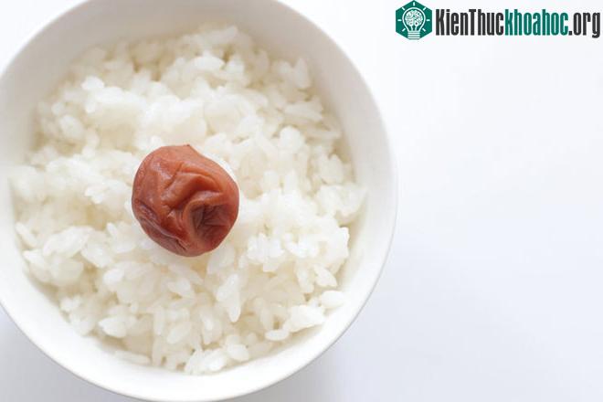 Ninja sẽ có một chế độ ăn hết sức đơn giản nhưng vẫn phải đầy đủ dinh dưỡng. (Ảnh minh họa).