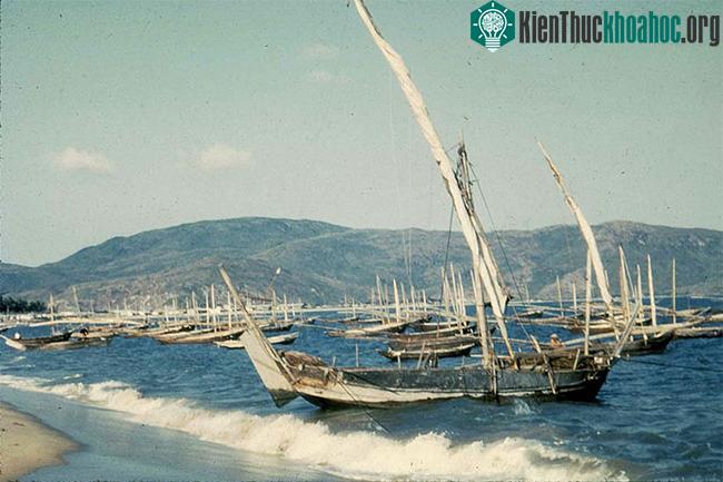 Những con thuyền của ngư dân trên bãi biển.