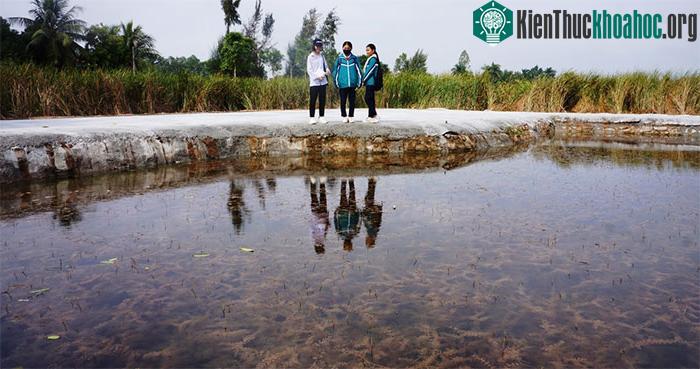 Bãi cọc nằm ở cửa sông Chanh này là một phần của trận chiến Bạch Đằng năm 1288.