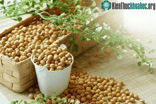 Đậu nành ngày càng trở thành thức ăn không thể không có trong chế độ ăn uống của người Mỹ.