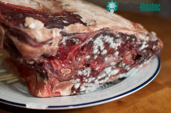 Bất cứ thực phẩm nào bị nấm mốc đều có thể ẩn chứa chất aflatoxin.