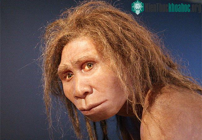 Homo georgicus