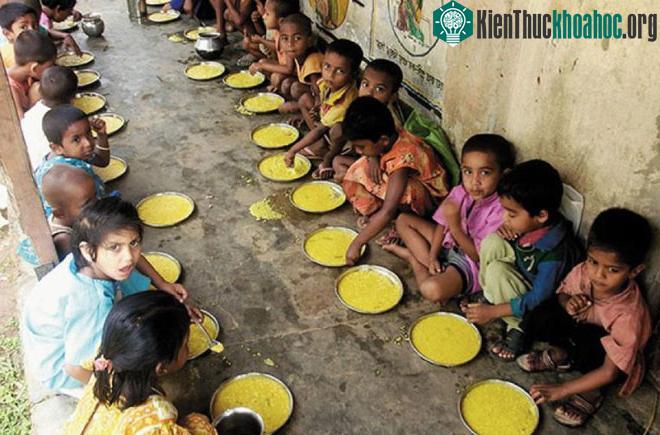 Bangladesh sắp trở thành quốc gia đầu tiên cho phép trồng gạo vàng biến đổi gene ảnh 3