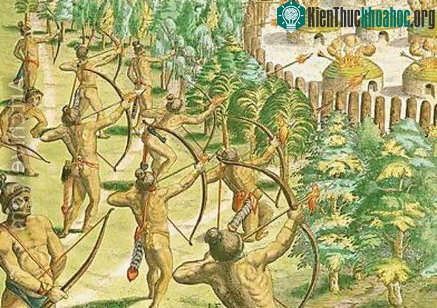 Loài người sinh sản rất nhanh, ở tất cả các chủng tộc.