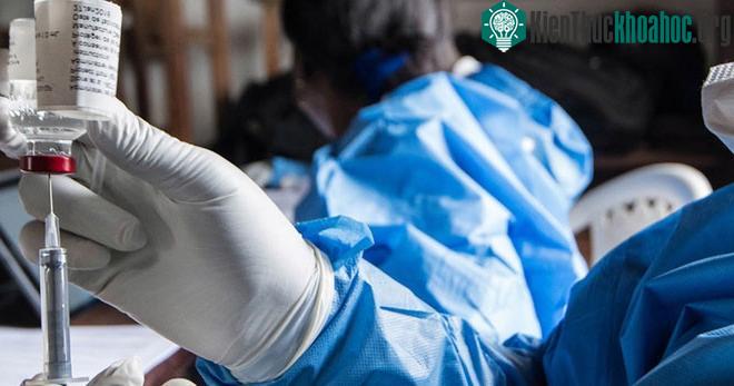 Thành côn trong việc ngăn chặn virus Ebola