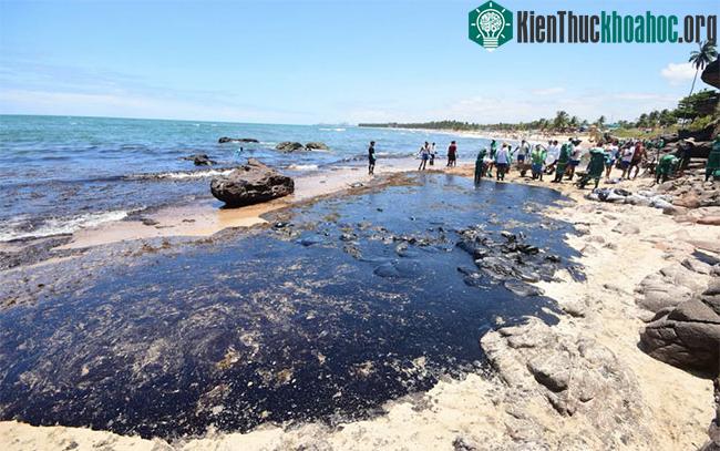 Trong ảnh, các tình nguyện viên cố gắng xử lý sự cố tràn trên bãi biển Itapuama ở Cabo de Santo Agostinho, bang Pernambuco, Brasil.