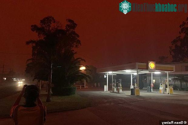 Thảm hoạ cháy rừng kinh hoàng khiến bầu trời Australia chuyển màu đen kịt như mực ngay giữa trưa ảnh 3