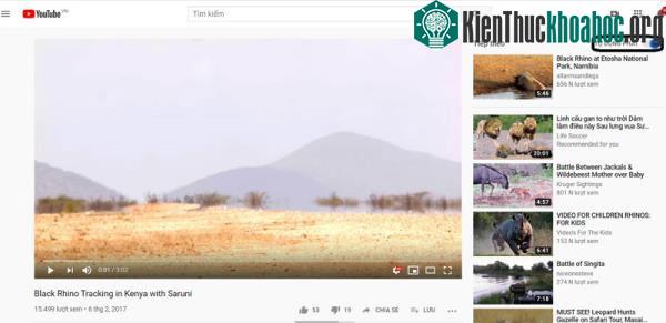 Chỉ xem video đề xuất của những kênh đã đăng ký