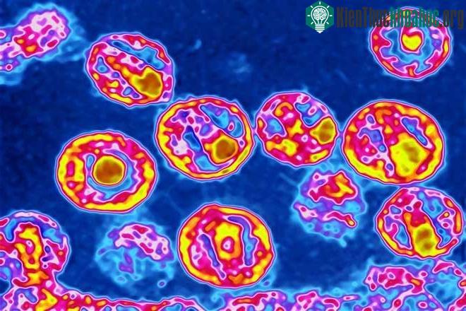 Tiến gần đến việc chữa khỏi HIV/AIDS