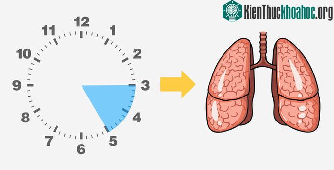 Nếu bạn thức dậy trong khoảng thời gian từ 3-5h sáng và có các triệu chứng như ho, thì rất có thể bạn có chế độ dinh dưỡng chưa khoa học.