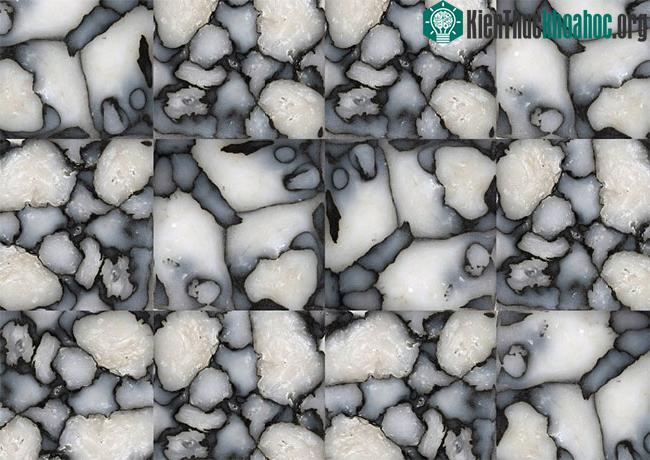 Những viên đá lát tuyệt đẹp từ rác thải nhựa ảnh 5