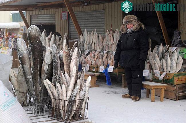 Cá chép là loài cá được ăn nhiều nhất.