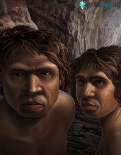 Homo antecessor
