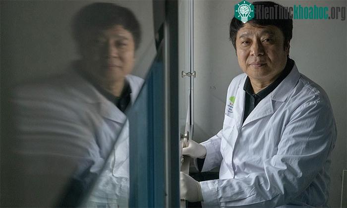 Nhà nghiên cứu miễn dịch Hongkui Deng.