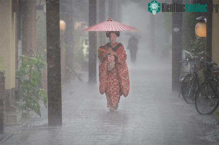 Bức ảnh “Pouring down” (Nước đổ).