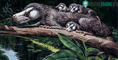 Động vật có vú sống từ cuối Triassic đến Jurassic sớm.
