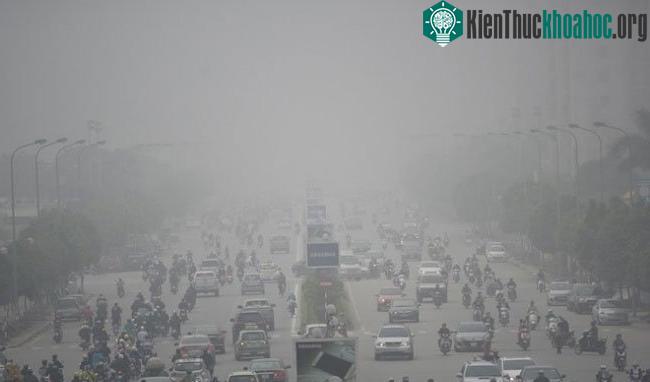 Sương mù quang hóa có thể hiểu là một dạng ô nhiễm không khí, ảnh hưởng đến sinh vật và con người.