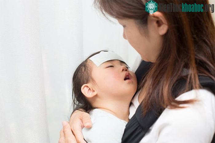 Sốt đã và đang là một trong những chủ đề trọng tâm của y học trong nhiều thế kỷ.