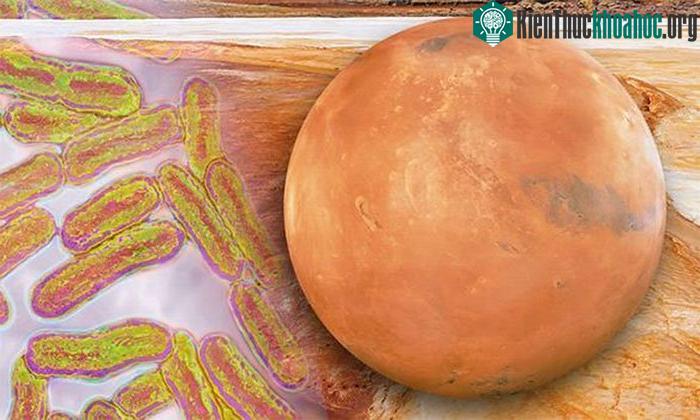 Con người cần chuẩn bị cho tình huống mẫu vật lấy từ sao Hỏa mang mầm bệnh mới.