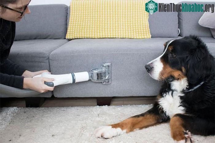 Máy hút bụi có thể làm sạch lông vật nuôi tại ổ đệm nằm.