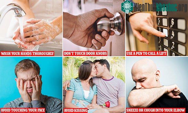 Đưa tay lên mũi, miệng và mắt là những con đường tốt nhất để virus xâm nhập vào cơ thể vật chủ.
