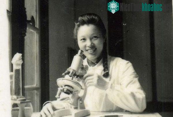 Bà Vi Kim Ngọc.