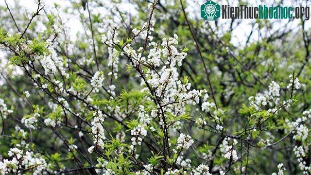 Trong ngày Lập Xuân đầu tiên nên dậy sớm để hít thở không khí trong lành.