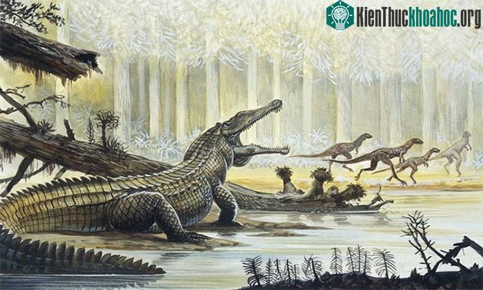 Yếu tố nào giúp cá sấu sống sót qua sự kiện tuyệt chủng? ảnh 0