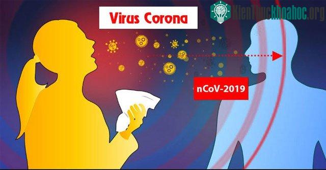 Lây nhiễm chéo có thể diễn ra do: vi khuẩn, nấm, ký sinh trùng, virus.