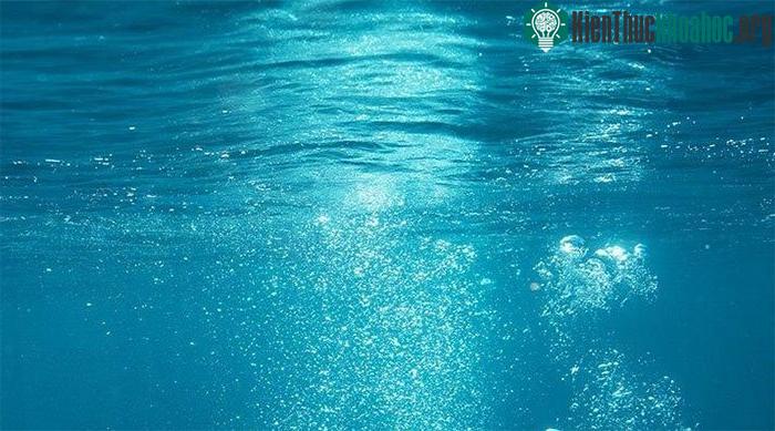 Khu bảo tồn nước ngọt hiếm hoi này được phát hiện ở phía Nam New Zealand.