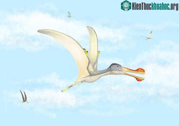 Đồ họa mô phỏng một loài thằn lằn bay có răng.