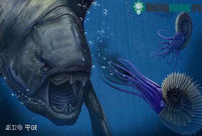 Cá Dunkleosteus.