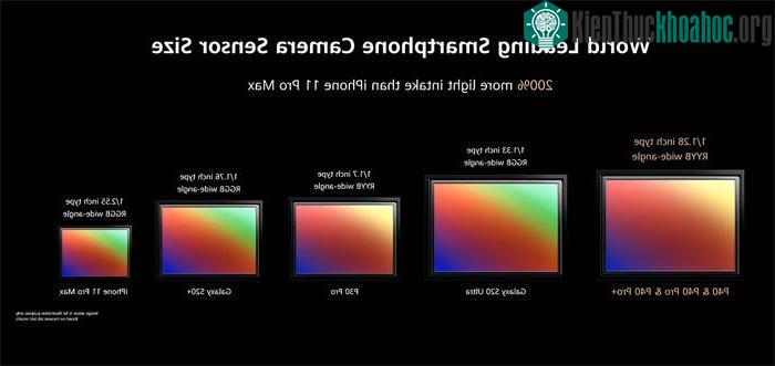 Kích thước cảm biến sẽ quyết định lượng ánh sáng thu vào thấu kính.