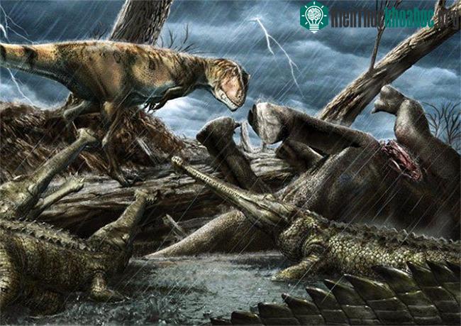 Nơi đây từng "chồng chất" các loài săn mồi khổng lồ và nguy hiểm nhất lịch sử hành tinh