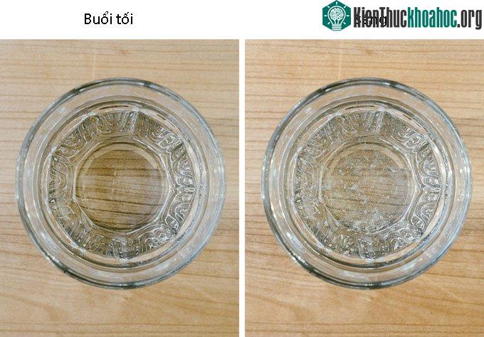 Đặt cốc nước ở gần giường không có nhiều lợi ích như bạn nghĩ.