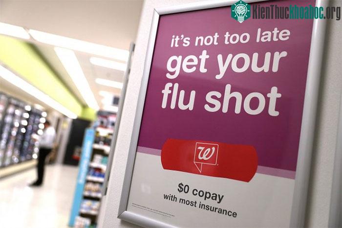 Loại virus chết người lây lan cho 15 triệu dân Mỹ ảnh 1