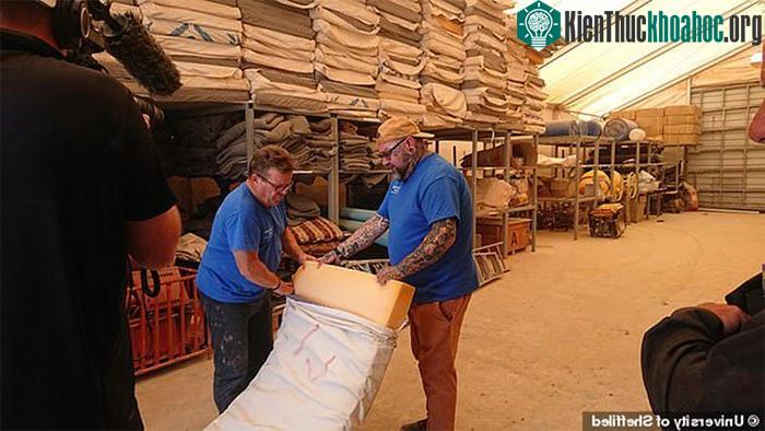 Bọt xốp trồng cây được tận dụng từ nệm giường bỏ đi.