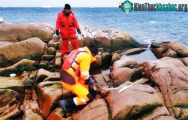 Lộ diện hòn đảo chưa từng được khám phá ở Nam Cực ảnh 1