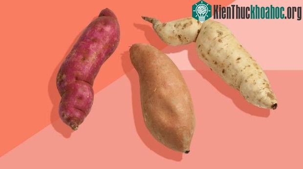 Thật may mắn rằng khoai lang chính là loại củ chứa vitamin A và khoáng chất cần thiết cho cơ thể.